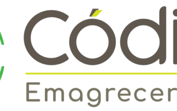 logo do codigo