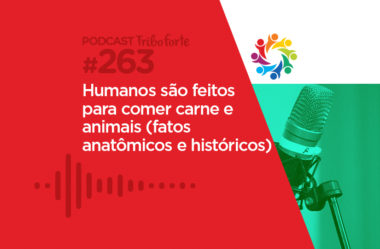 TRIBO FORTE #263 – HUMANOS SÃO FEITOS PARA COMER CARNE E ANIMAIS (FATOS ANATÔMICOS E HISTÓRICOS)