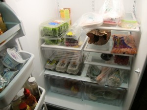 geladeira2